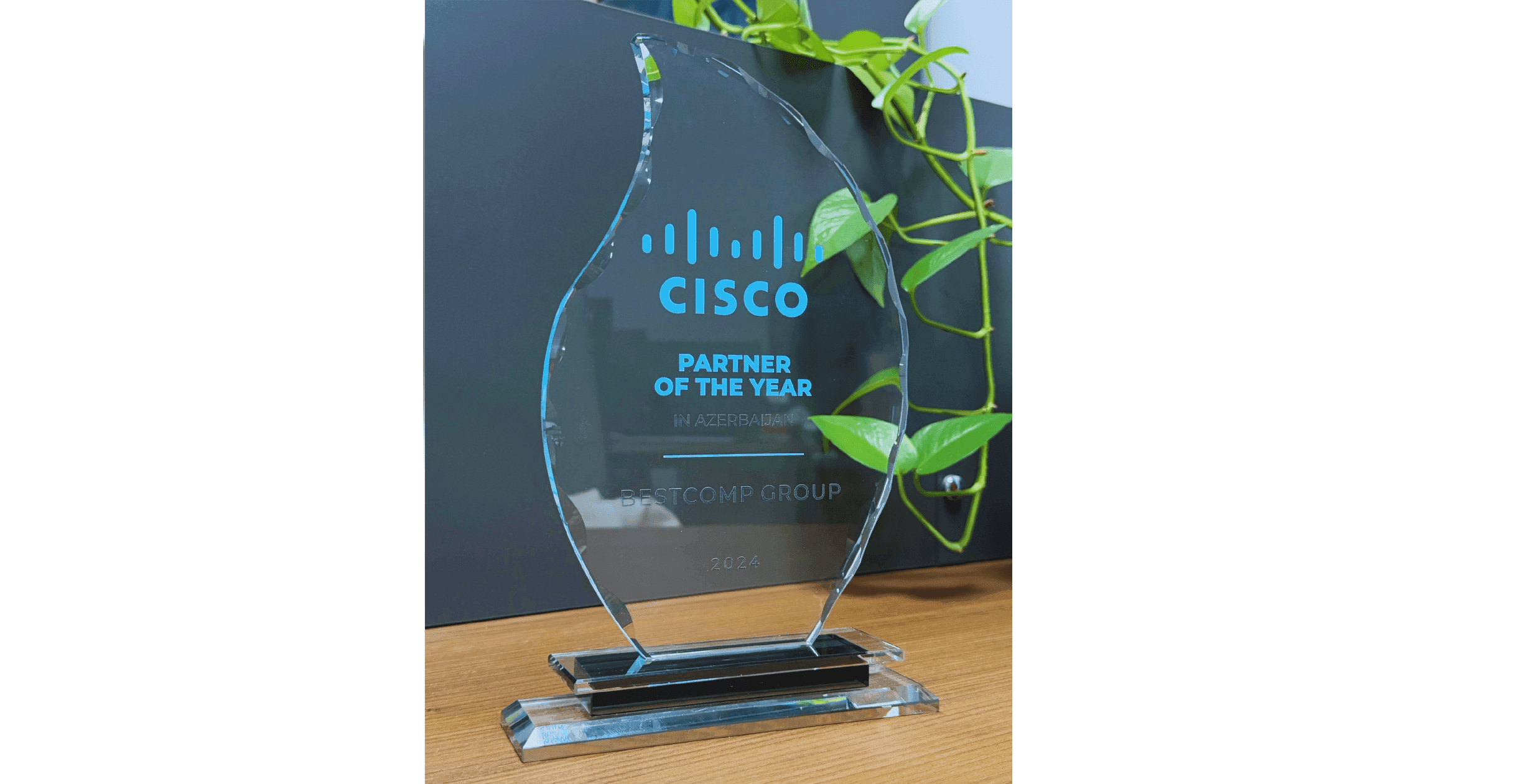Partner of the Year 2024